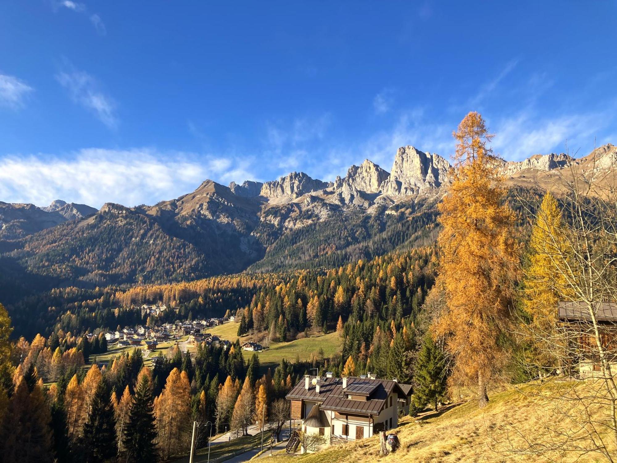 Appartamento Dolomiti Dream 1 Falcade Bagian luar foto